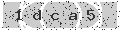 verify code