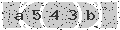 verify code