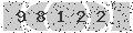 verify code